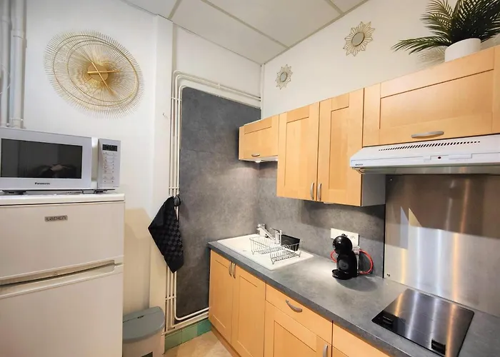 アパート Grand Studio 38m2 Dans Ancien Palace Avec Piscine Et Place De Parking Privee