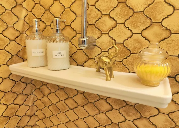 Grand Studio 38m2 Dans Ancien Palace Avec Piscine Et Place De Parking Privee * エクスレバン