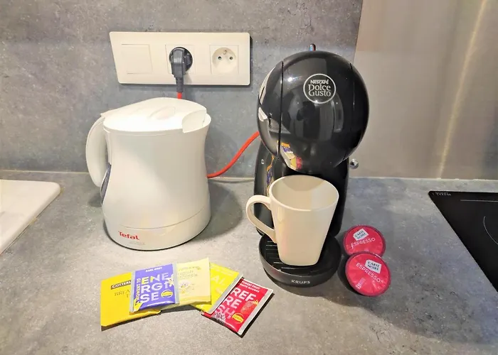 アパート Grand Studio 38m2 Dans Ancien Palace Avec Piscine Et Place De Parking Privee *